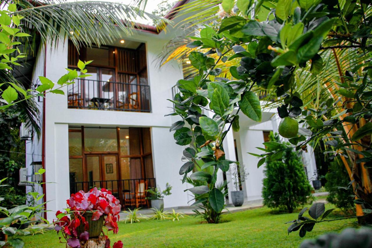 Manike Lodge Habarana Eksteriør bilde